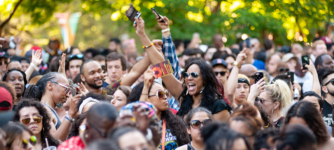 Crowd enjoying a concert